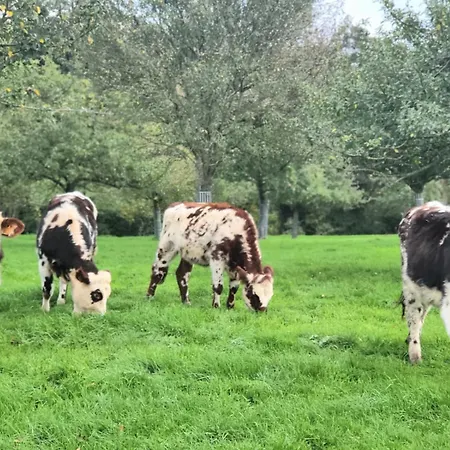 Jacuzzi, Piscine, Station De Recharge Pour Véhicule électrique, Maison Normande Du 19ème Siècle à 25' De Deauville, Classée Meublé De Tourisme 5 étoiles *