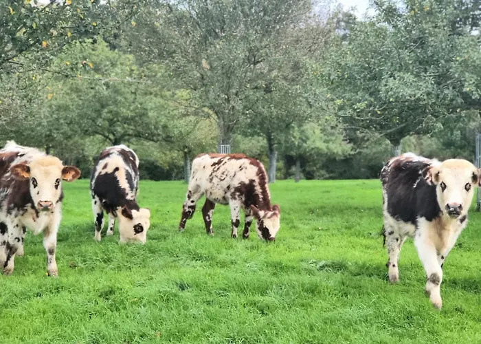 Jacuzzi, Piscine, Station De Recharge Pour Vehicule Electrique, Maison Normande Du 19eme Siecle A 25' De Deauville, Classee Meuble De Tourisme 5 Etoiles *